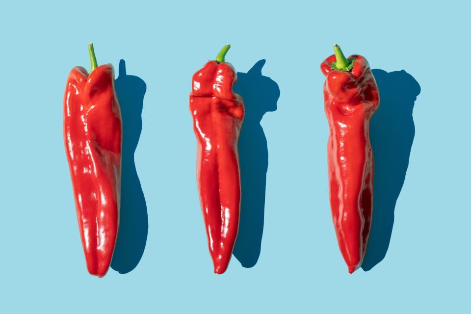 Sweet long red marconi peppers on the blue background