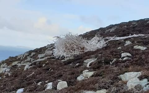 The stag was found on the side of a mountain by a local gamekeeper - Credit: Wild Side of Jura /SWNS.COM