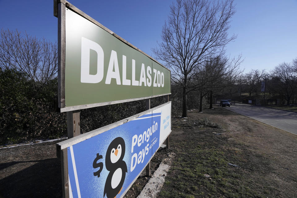 The Dallas Zoo sign welcomes visitors to the facility, Friday, Feb. 3, 2023, in Dallas. Zoo officials and representatives from the Dallas Police Department had a news conference at the Friday, announcing the arrest of a person in connection with missing animals from the zoo. (AP Photo/Tony Gutierrez)