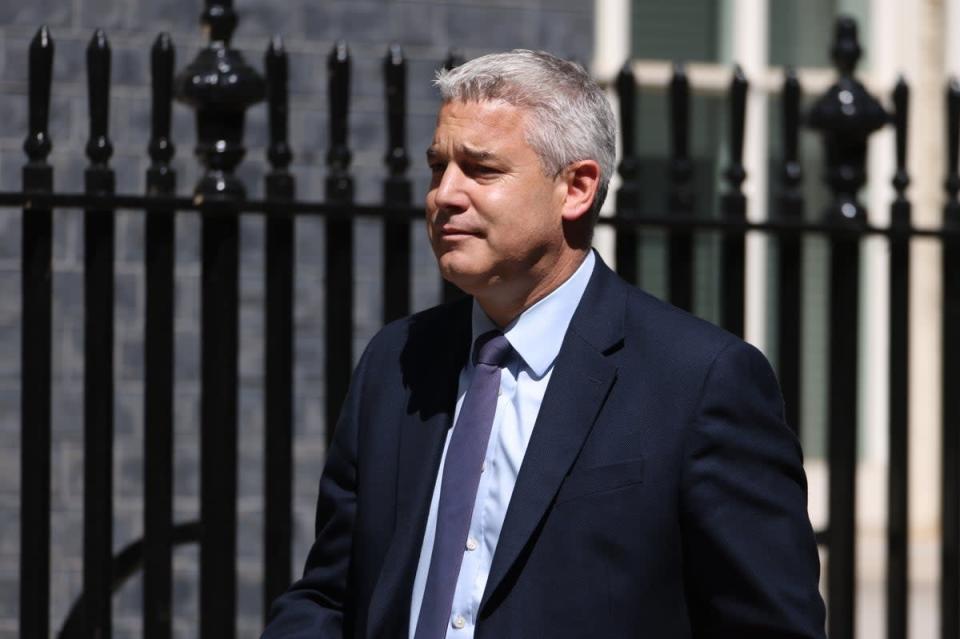 Secretary of State for Health and Social Care Steve Barclay (PA) (PA Wire)