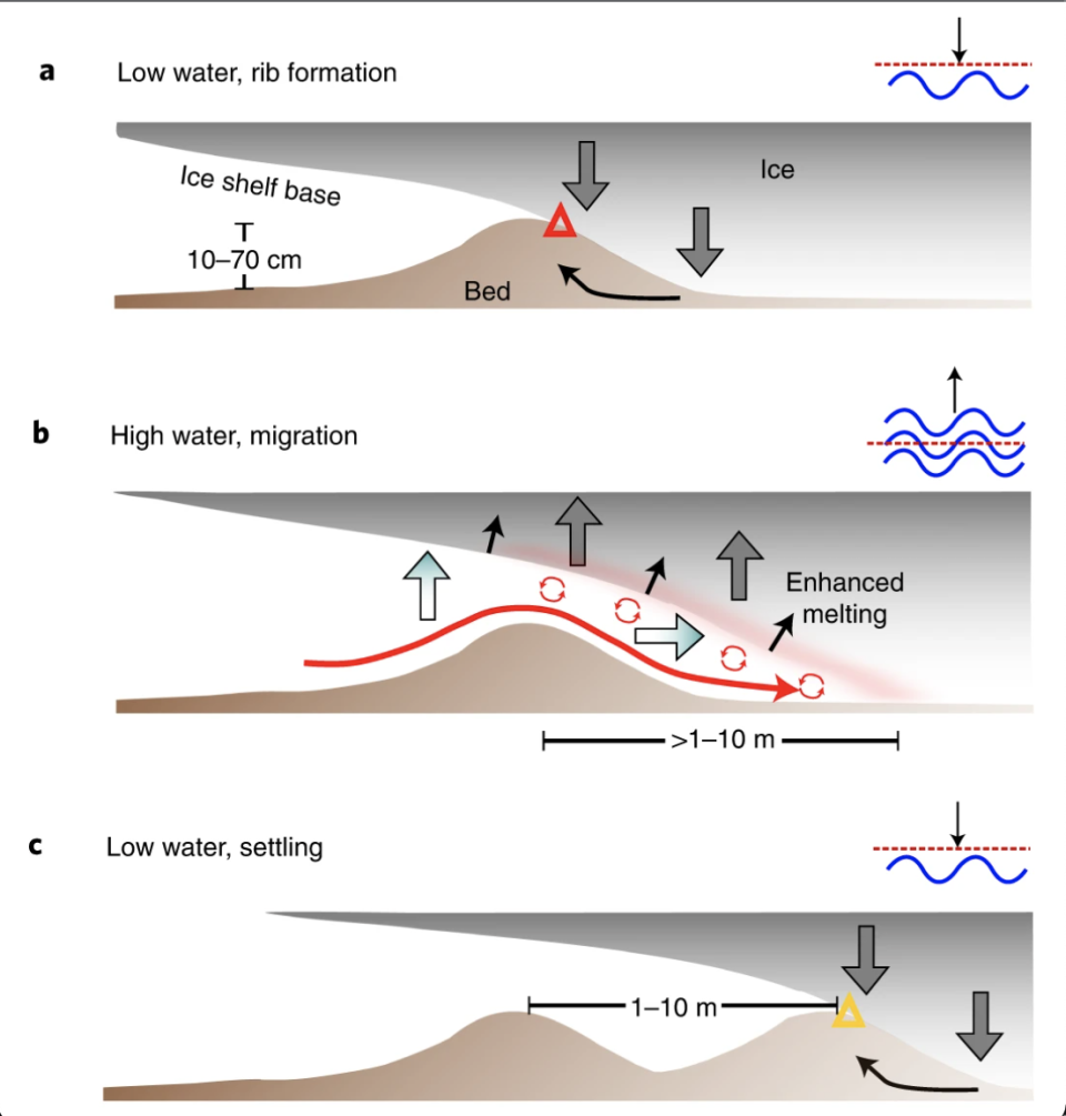 Images created by researchers show how the melting of the Thwaites glacier creates ribbed parallel lines along the sea floor that serve as indicators for the rate of its erasure. / Credit: Nature Geoscience