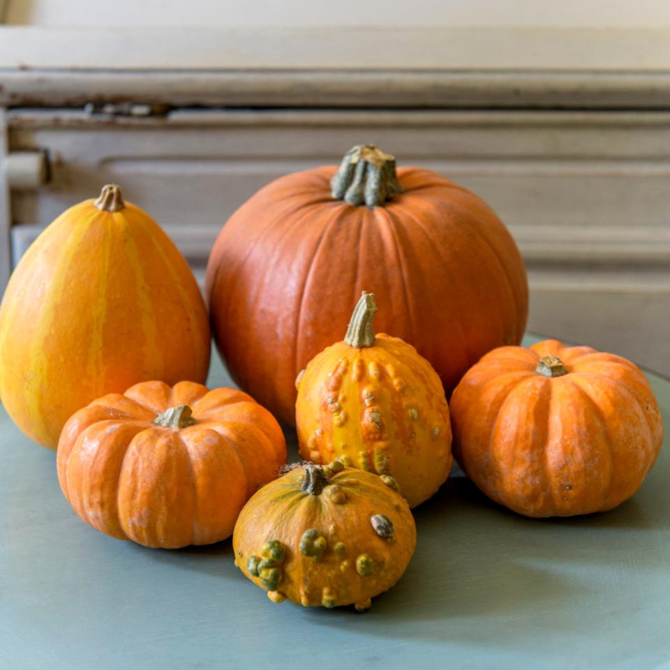 A group of pumpkins on a table