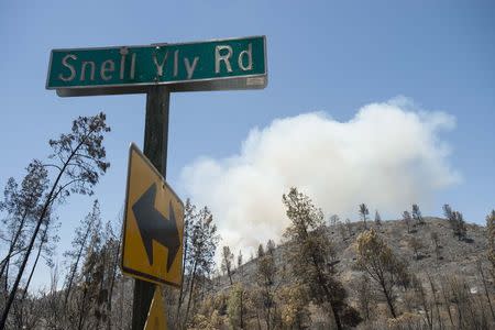 Smoke from the Butts fire rises above Snell Valley, California July 3, 2014. The fire has burned more than 4,300 acres since it started Tuesday. REUTERS/Noah Berger