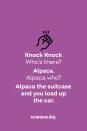 <p><strong>Knock Knock</strong></p><p><em>Who’s there? </em></p><p><strong>Alpaca.</strong></p><p><em>Alpaca who?</em></p><p><strong>Alpaca the suitcase and you load up the car.</strong></p>