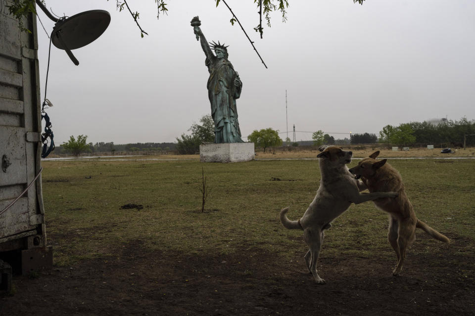 Dogs frolic near a 49-foot replica of a Statue of Liberty, in General Rodriguez, Argentina, Saturday, Oct. 15, 2022. The structure is a leftover from the "Liberty Motocross" circuit operated there years ago, according to the caretaker of the property, Pablo Sebastián. (AP Photo/Rodrigo Abd)