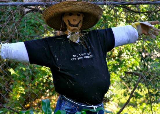 Make A Scarecrow