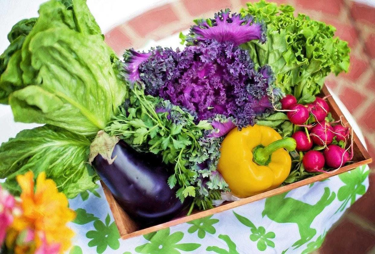 As gardeners begin to think about the growing season, now is the perfect time to plan for the types of fruits and vegetables you wish to plant.