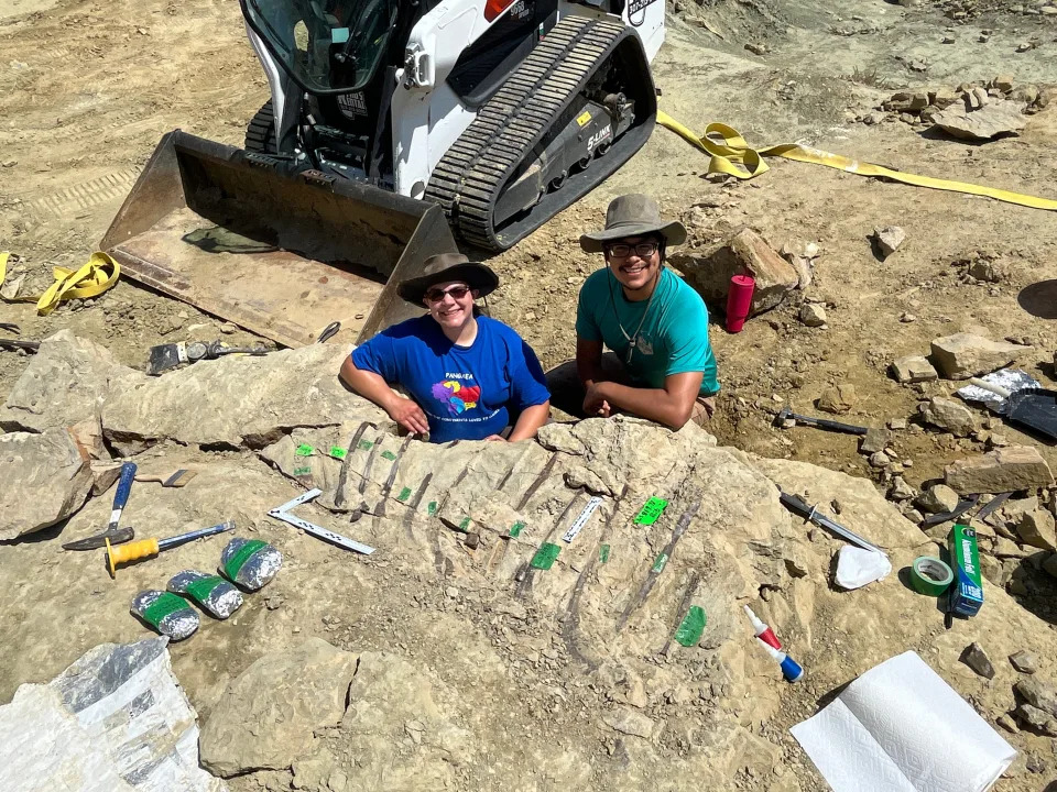 Paleontologists working with The Children's Museum and partner institutions have unearthed an Allosaurus. Visitors can now watch them study and work the fossil inside the museum's lab.