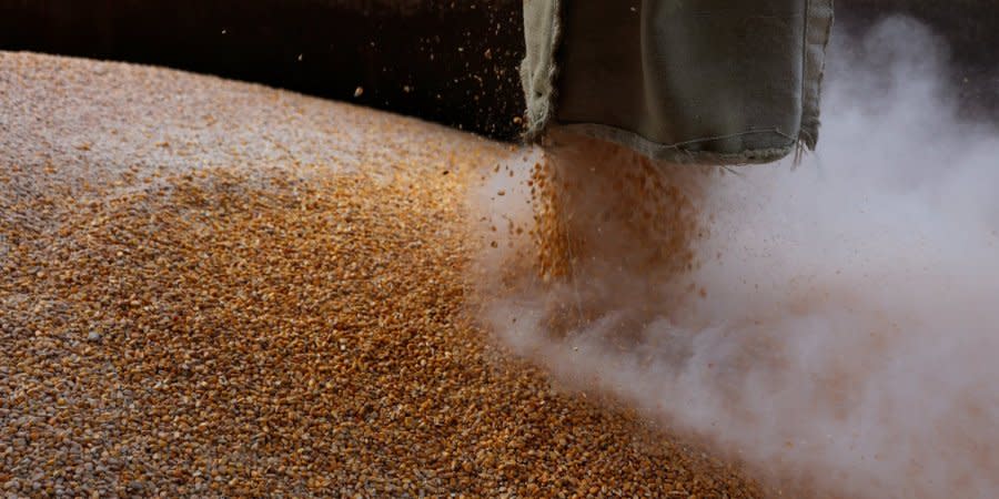 Loading grain into a truck at the Flour Milling Plant in the Chernihiv Region, May 24, 2022