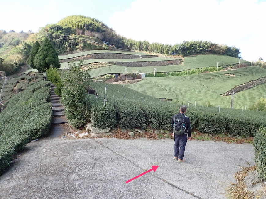 嘉義大風埕觀日峰＋油車寮步道