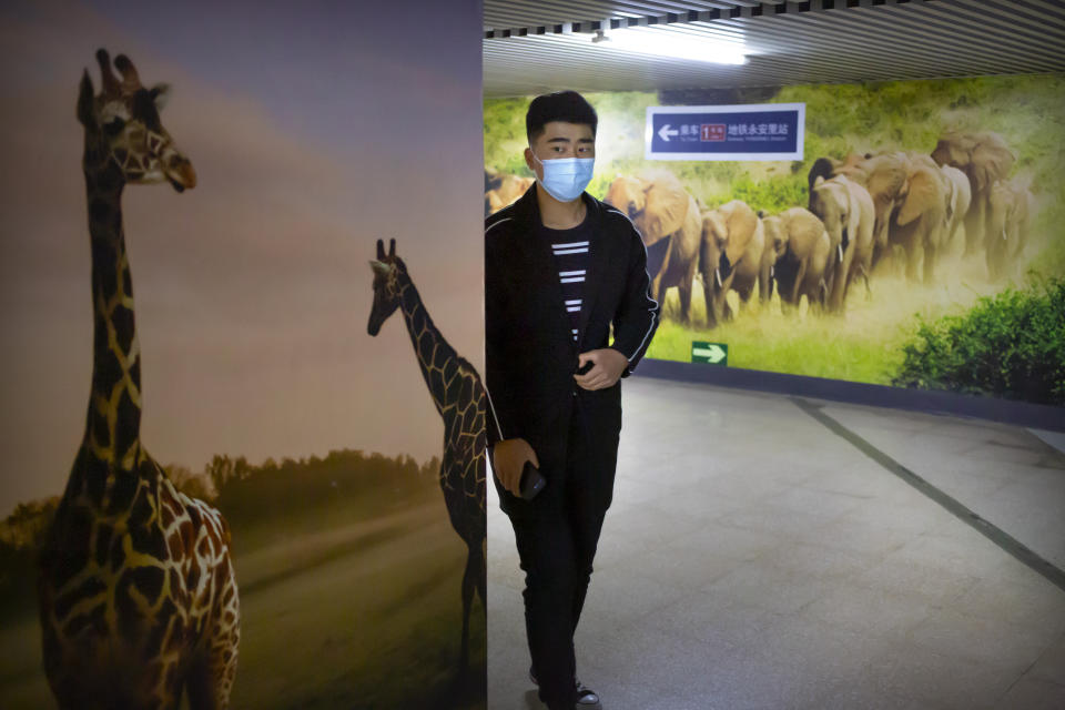 A man wears a face mask as he walks past murals of wildlife outside of a subway station in Beijing, Wednesday, April 1, 2020. China's National Health Commission on Wednesday reported a few dozens of new COVID-19 cases, one day after announcing that asymptomatic cases will now be included in the official coronavirus count. (AP Photo/Mark Schiefelbein)