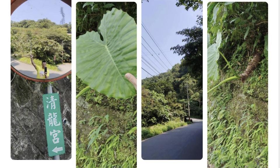 蔡詩萍》有一天「老」會來敲門的，但我要它找我找得很辛苦！