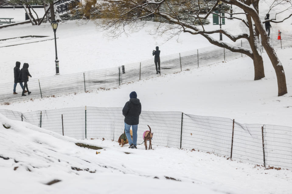 La nieve en Central Park de New York City, (Foto: Selcuk Acar/Anadolu via Getty Images)