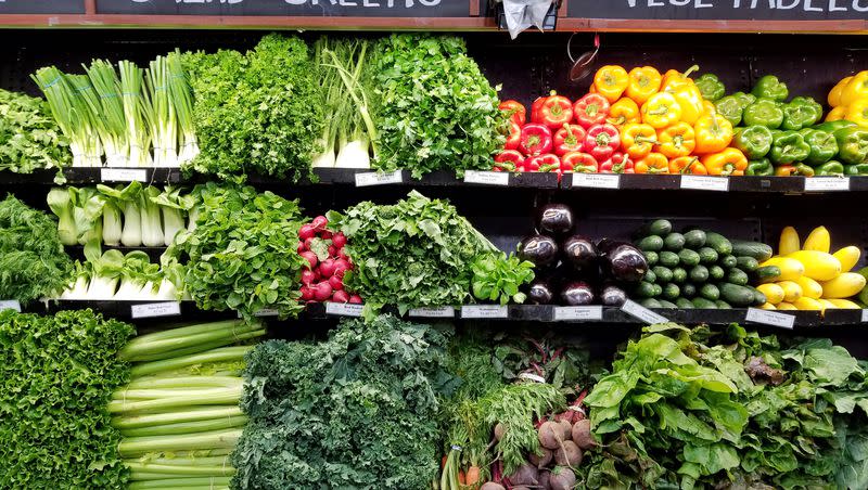 Salad greens and vegetables in Cambridge, Mass.