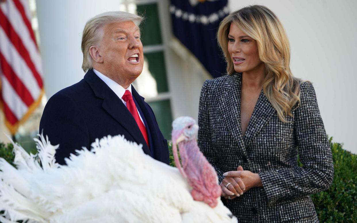 US President Donald Trump speaks before he pardons the National Thanksgiving Turkey next to First Lady Melania Trump during a ceremony in the Rose Garden of the White House -  MANDEL NGAN/ AFP