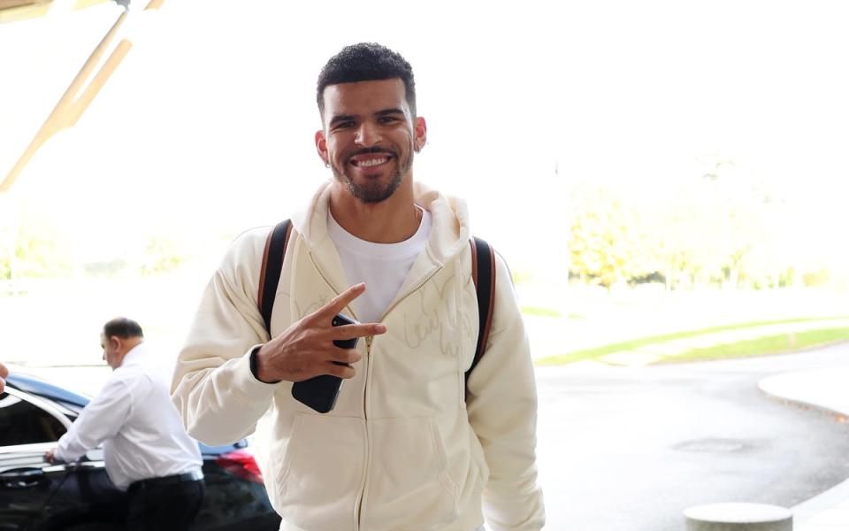 Recall: Tottenham striker Dominic Solanke has earned his first England call-up in seven years (The FA via Getty Images)