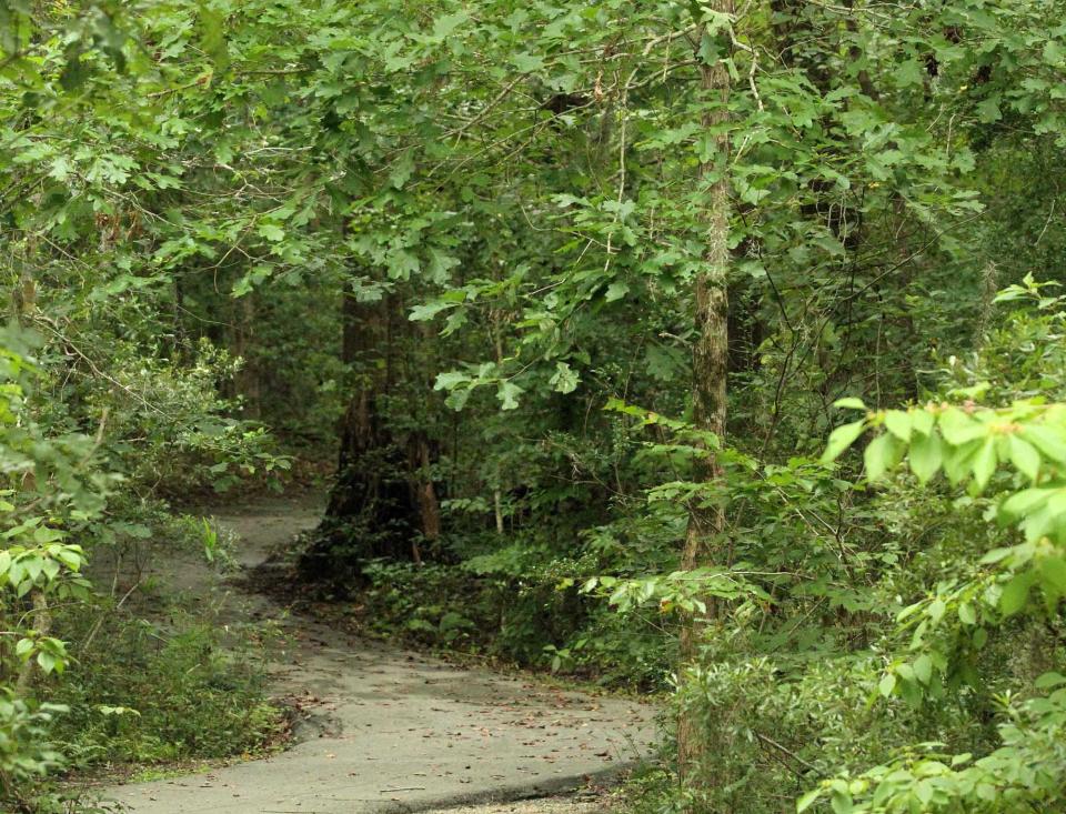 Flanners Beach Walking Trail in New Bern