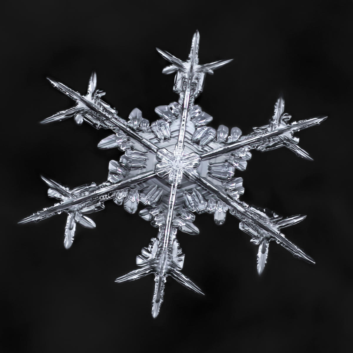 Getting up close with snowflakes, Articles