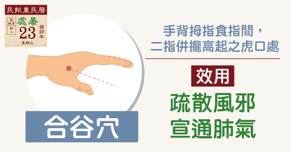 多按摩位於大腸經的「合谷穴」，可防止「秋涼」、「秋燥」導致的過敏及腸胃不適。圖片設計/佳佳