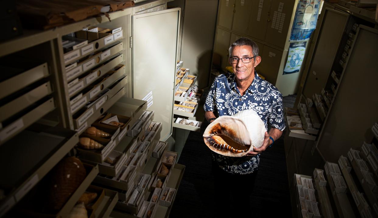 Jose H. Leal, Ph.D. Science Director & Curator of the Bailey-Matthews National Shell Museum & Aquarium stands for a portrait with some of the massive shell collection on Friday, Feb. 2, 2024. The museum sustained significant damage in Hurricane Ian and is in the process of rebuilding and reimagining the exhibits.