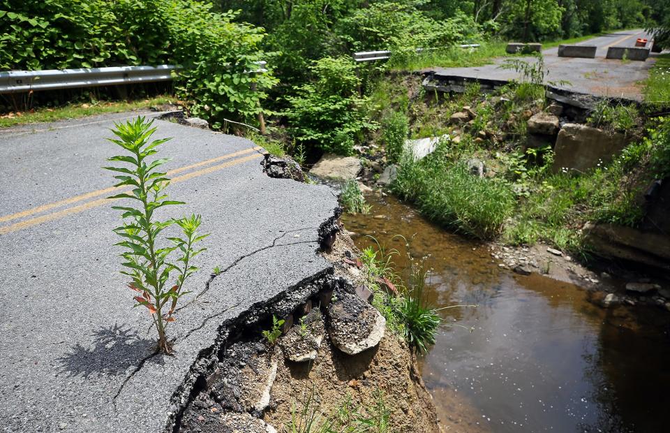 Weeds poke up from cracks in the road near the ravine residents call "Kungle Kanyon."