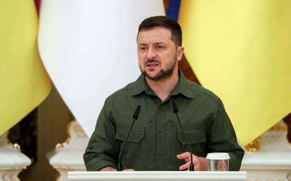 Ukrainian President Volodymyr Zelensky speaks during a joint briefing with Indonesian President Joko Widodo at Mariinsky palace in Kyiv on 29 June, 2022.  - Sergey Dolzhenko/Shutterstock