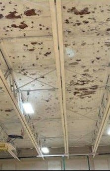 Madison-Plains highlighted damage to the roof in the gym of the Madison-Plains Local School District K-6 building as an example of the district's flagging infrastructure. The district is seeking a 9.9-mill levy to replace both campus buildings.
