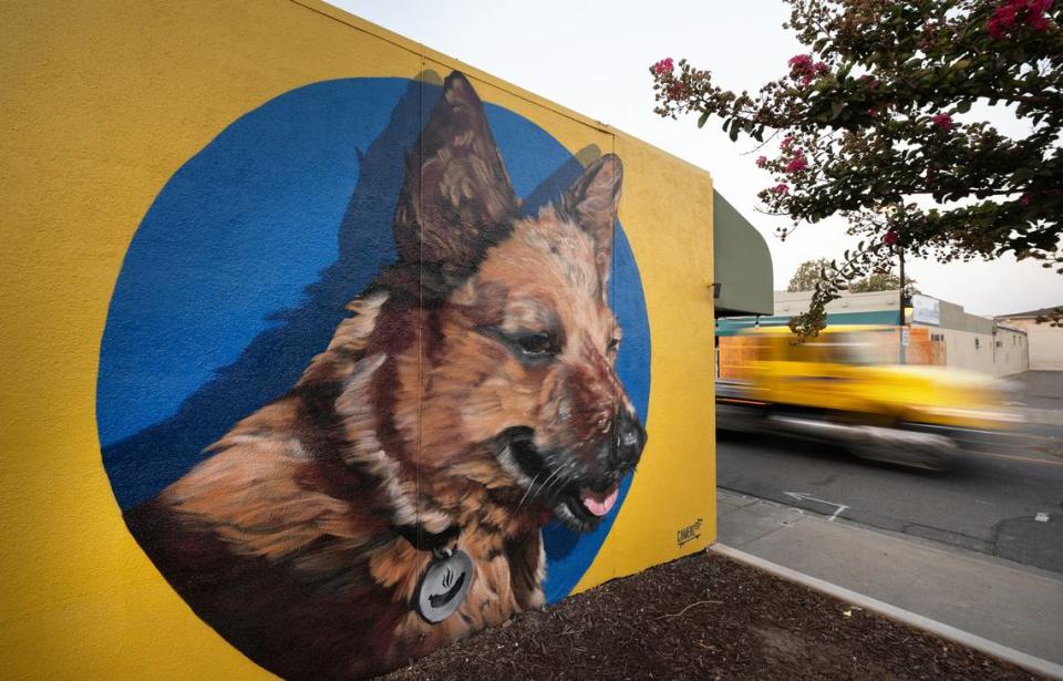 Murals adorn the outside walls of the Deaf Puppy Club in Manteca, Calif., Wednesday, Sept. 20, 2023.