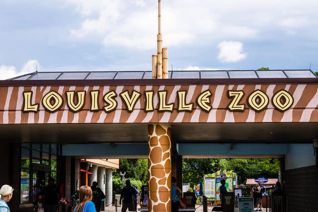 <p>Joe Hendrickson / Alamy</p> A photo of the Louisville Zoo.