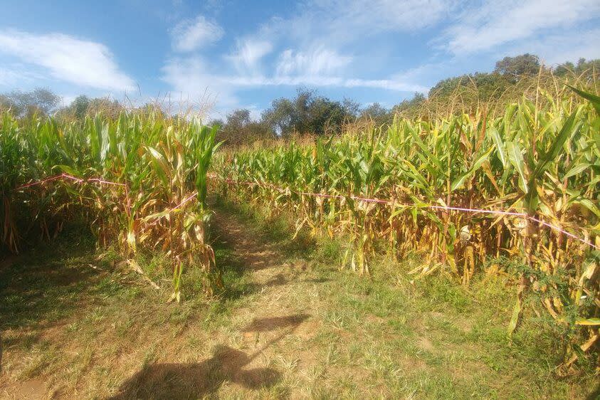 Queens County Farm Museum