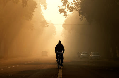 FILE PHOTO: A man rides his bicycle on a smoggy morning in New Delhi, India, December 26, 2018. REUTERS/Adnan Abidi