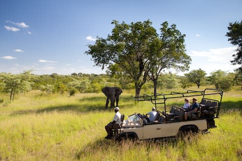 A game drive at Ulusaba - Credit: jack brockway