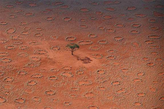 Here, numerous tracks of Oryx antelopes crossing fairy circles in an interdune pan, shown in this aerial view of Namibrand, Namibia.