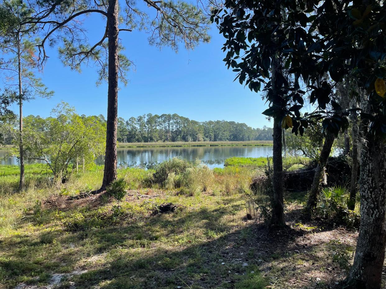 Shown here is Welaka Woods in Putnam County, a 716-acre conservation easement donated to the North Florida Land Trust in 2020. The donation means the landowner gave up development rights on the vast untouched wildlife corridor that helps replenish the Floridan aquifer.