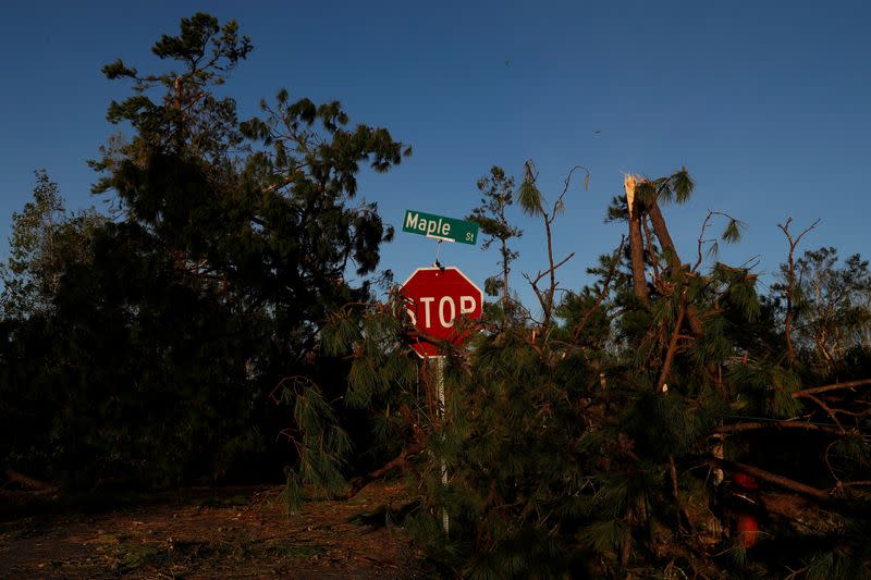 Damaged trees block a street after Hurricane Laura passed through Lake Charles, Louisiana