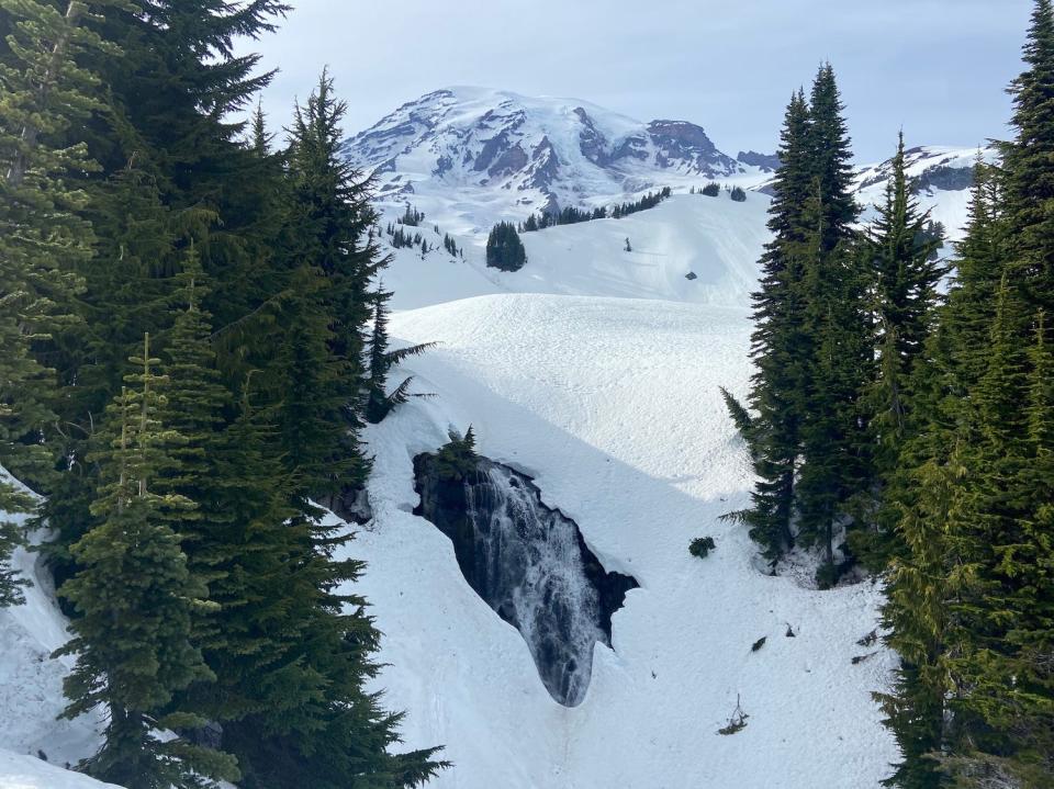 An image of a snowy area in Mount Rainier National Park.