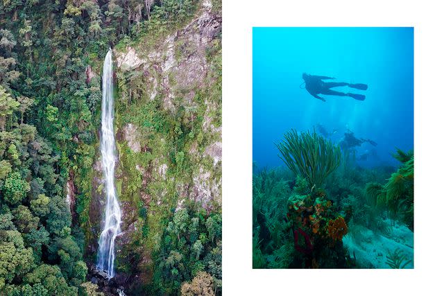 <p>From left: Jashley247/Shutterstock; Danita Delimont Creative/Alamy</p> From left: El Bejuco Waterfall in Pico Bonito park; divers exploring the protected reefs.