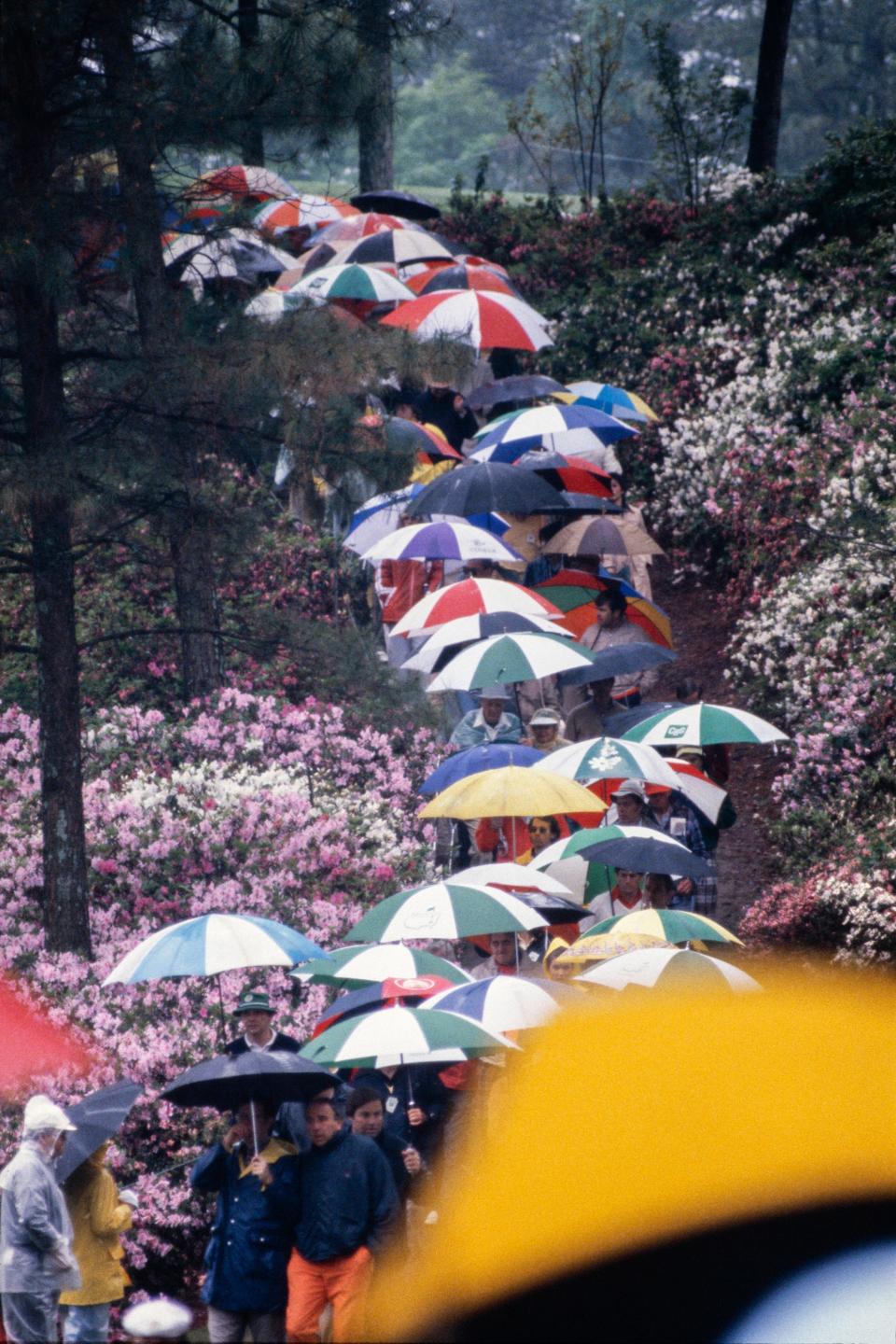 4/9/1981; Augusta, Georgia, USA; Spectators with umbrellas walk through a path in the rain at Augusta National GC. Mandatory Credit: File Photo -The Augusta Chronicle via USA TODAY NETWORK