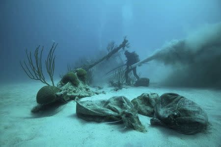 Dr. Philippe Max Rouja excavates the bow of the Civil War blockade runner ship Mary-Celestia, which sank off Bermuda in 1864, in this handout photo provided by LookBermuda/Chris Burville taken June 19, 2011. REUTERS/LookBermuda/Chris Burville/Handout via Reuters