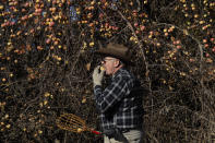 In this Oct. 29, 2019, photo, amateur botanist E.J. Brandt, of The Lost Apple Project, bites into an apple he picked from a tree in an orchard near Troy, Idaho. Brandt and fellow botanist David Benscoter have rediscovered at least 13 long-lost apple varieties in homestead orchards, remote canyons and windswept fields in eastern Washington and northern Idaho that had previously been thought to be extinct. (AP Photo/Ted S. Warren)