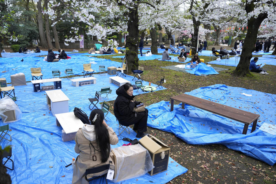 People grab a spot for cherry blossom viewing banquet at the Ueno Park Friday, April 5, 2024, in Tokyo. Crowds gathered Friday in Tokyo to enjoy Japan’s famed cherry blossoms, which are blooming later than expected in the capital because of cold weather. (AP Photo/Eugene Hoshiko)