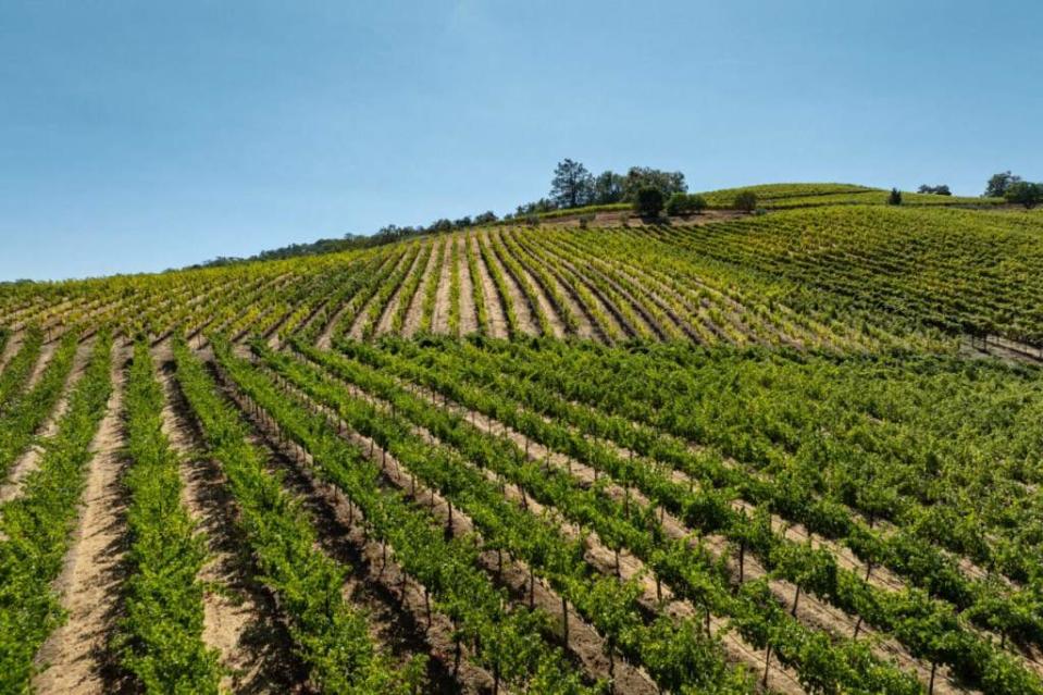 The estate is 120 acres in total, 110 acres of which are vineyard. California Outdoor Properties