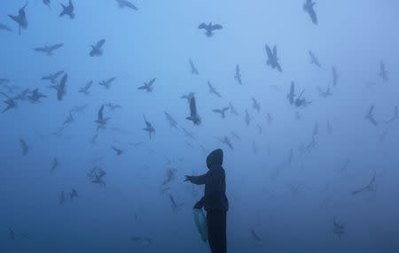 A man feeds seagulls as he stands on the banks of Yamuna river on a foggy winter morning in New Delhi, December 24, 2018. REUTERS/Adnan Abidi