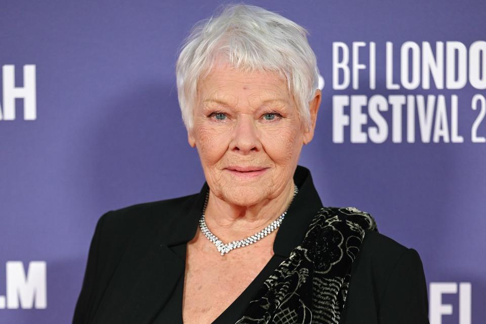 <p>Karwai Tang/WireImage</p> Judi Dench