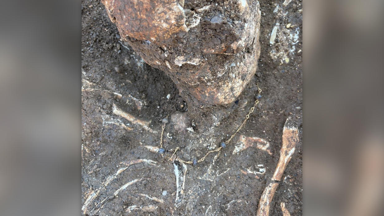  Gold necklace in situ around a partially excavated skeleton. 