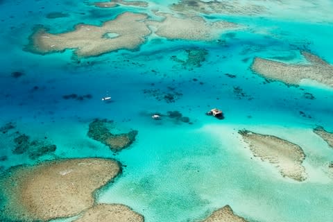Reefs in Fiji - Credit: GETTY