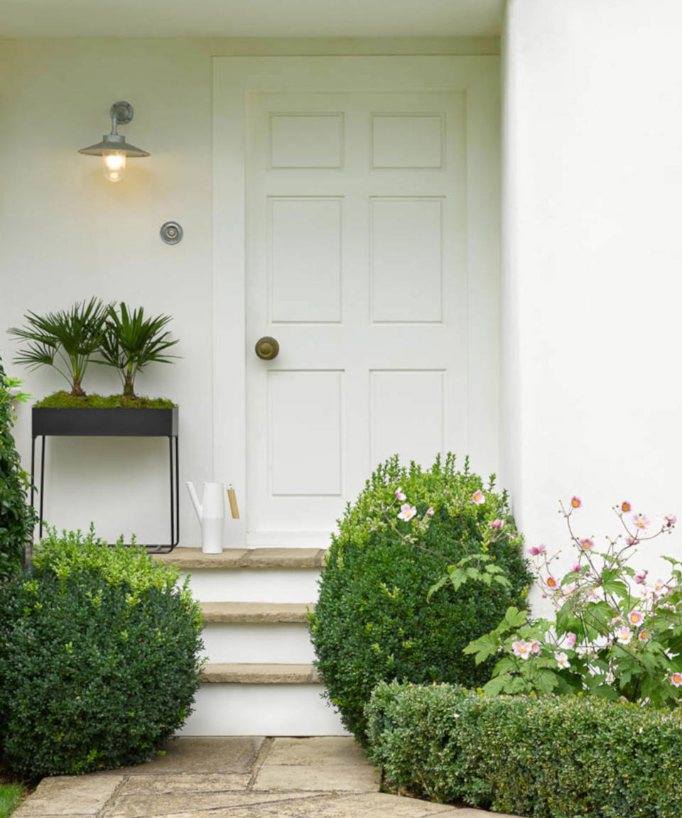 boxwood plants in front porch