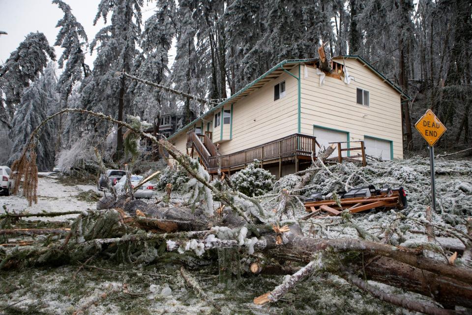 Fallen trees damage a home on South 70th Street during a winter storm Tuesday, Jan. 16, 2024, in Springfield, Ore.