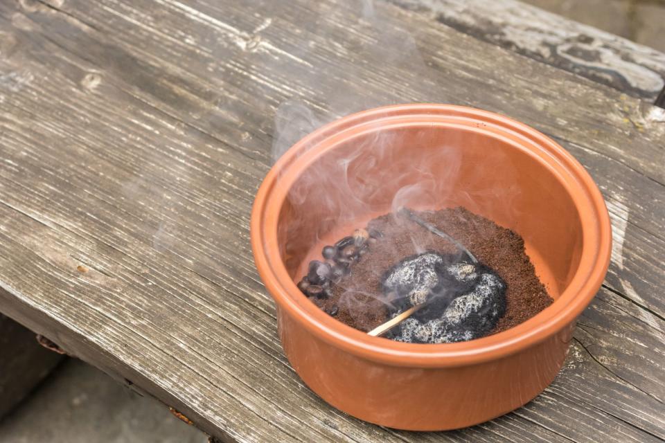 Wenn wir schon bei Ungeziefer sind: Auch Wespen können durch Kaffeesatz in die Flucht geschlagen werden. Schütten Sie dafür etwas Kaffeesatz in eine feuerfeste Schale und zünden Sie ihn an. Der aufsteigende Rauch mit Kaffeearoma wird garantiert jede Wespe in der Nähe in null Komma nichts vertreiben. (Bild: iStock / Ralf Geithe)