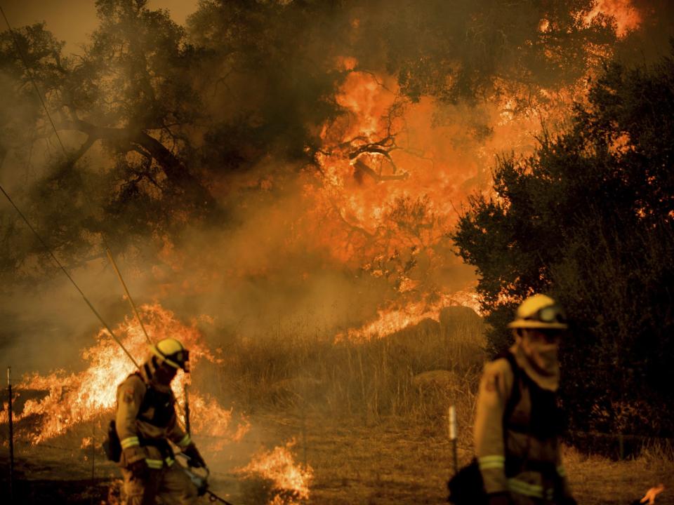 Firefighters light backfire while trying to keep a wildfire from jumping a road near Ventura, California: AP Photo/Noah Berger